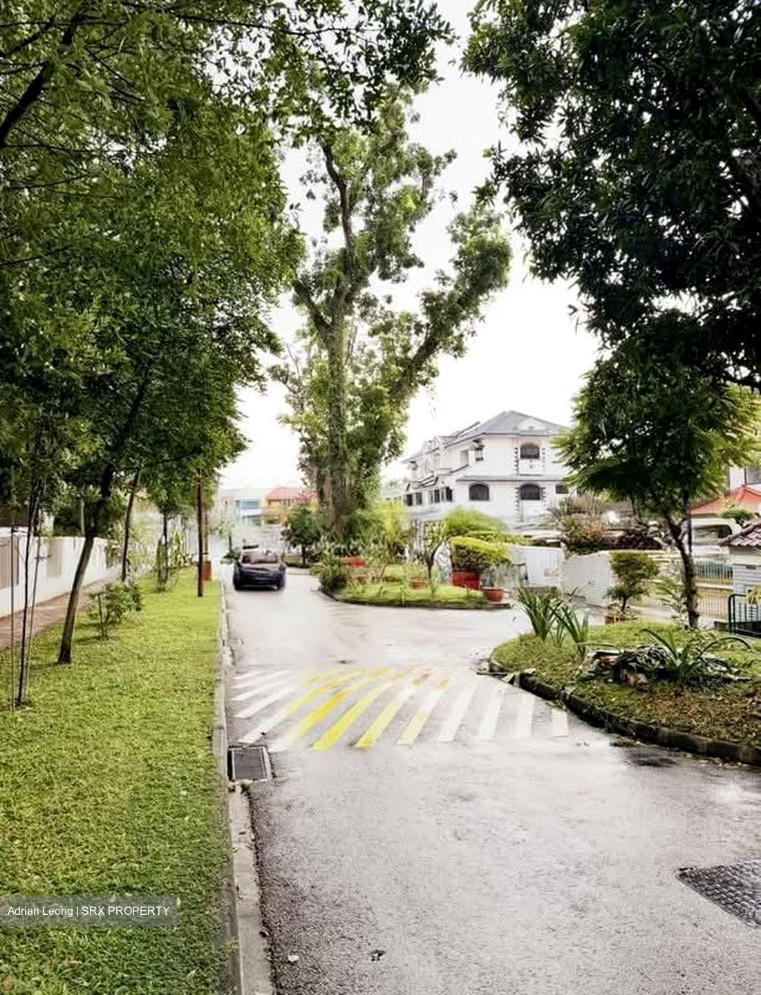 Florence Road (D19), Detached #589796261